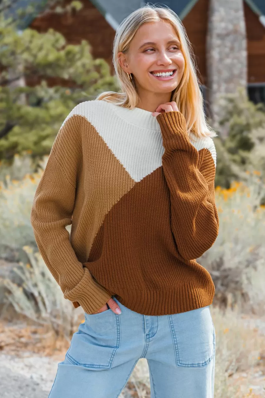 Cupshe Pull | Pulls & Gilets*Pull D'automne à Col Haut Et Manches Longues Blocs De Couleur Brun