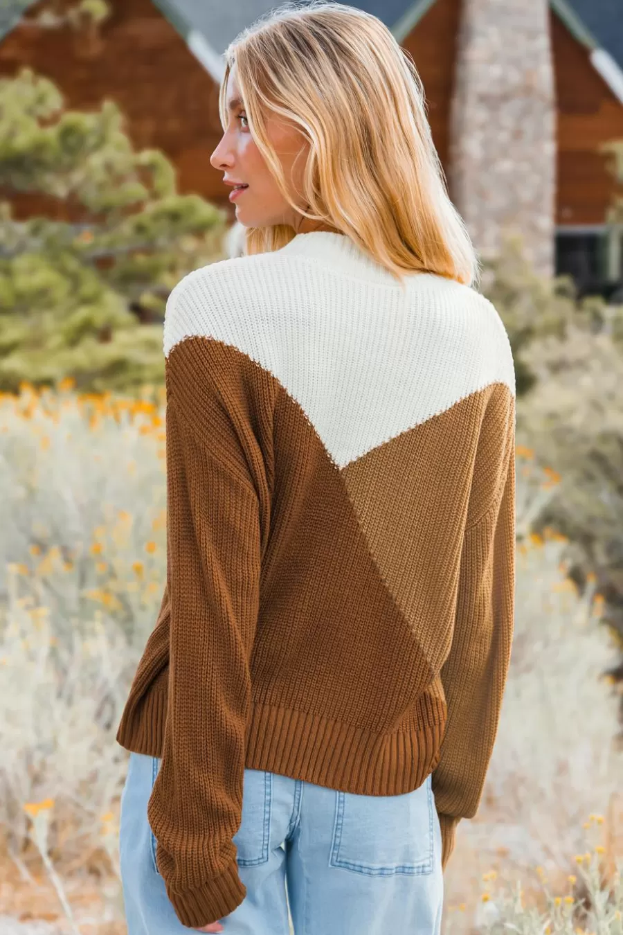 Cupshe Pull | Pulls & Gilets*Pull D'automne à Col Haut Et Manches Longues Blocs De Couleur Brun